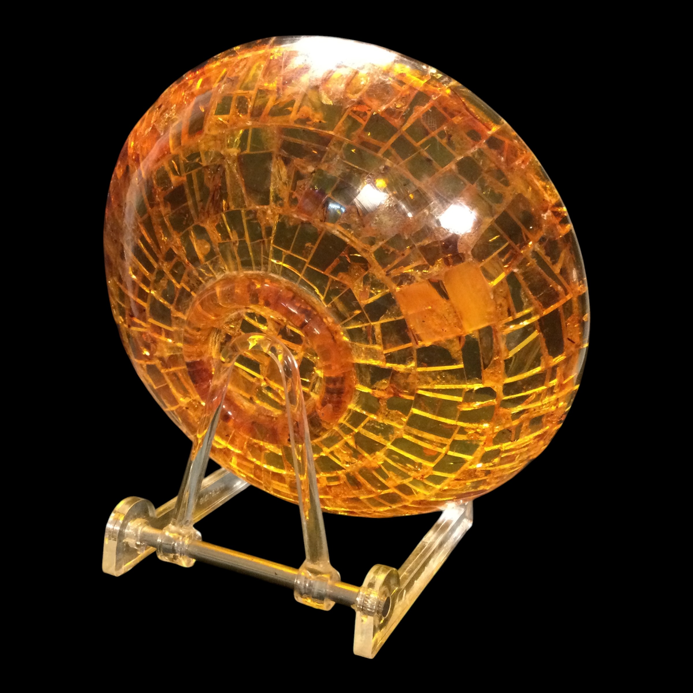Ciotola ambra - immagine 5