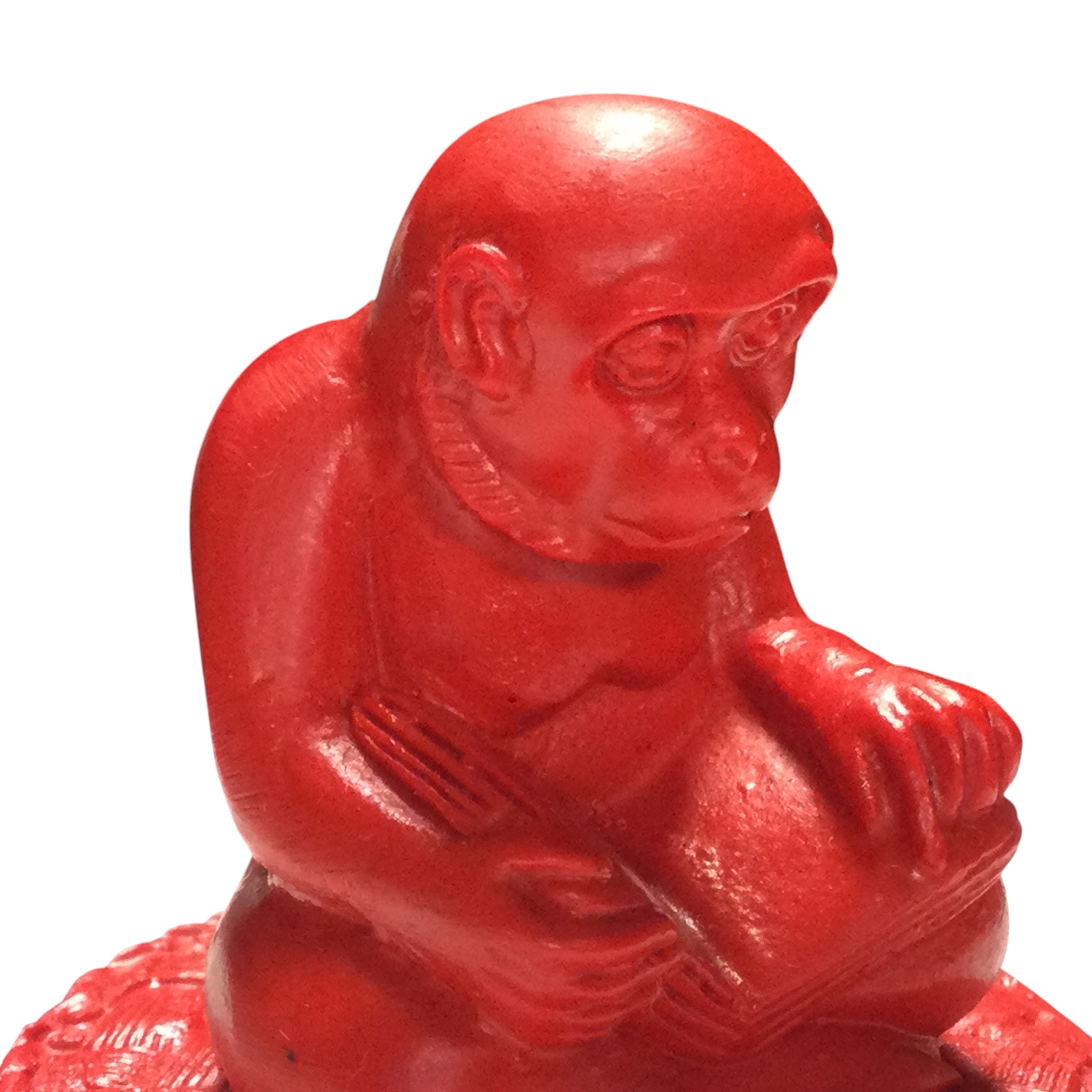 Scimmia di lacca rossa - immagine 6