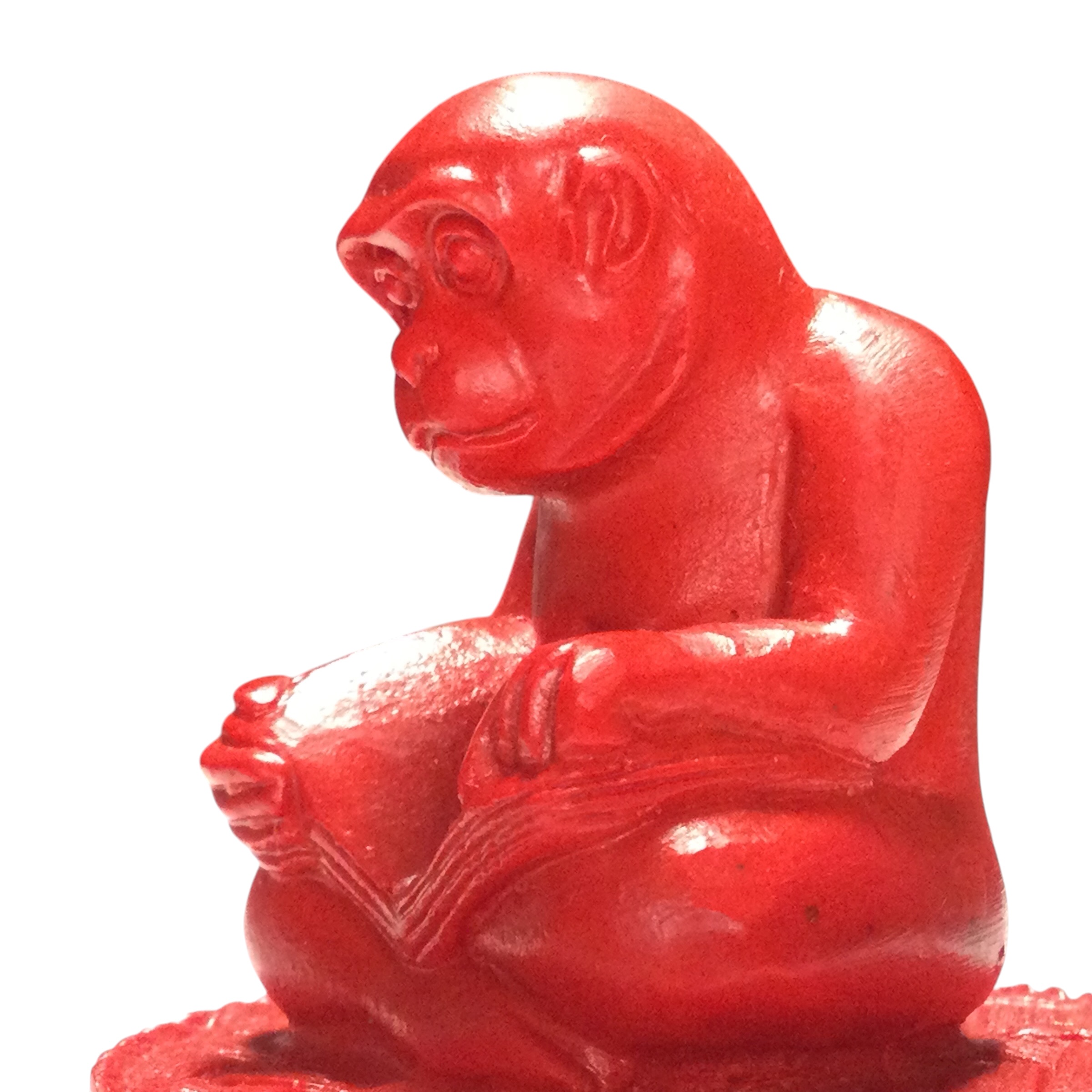 Scimmia di lacca rossa - immagine 13