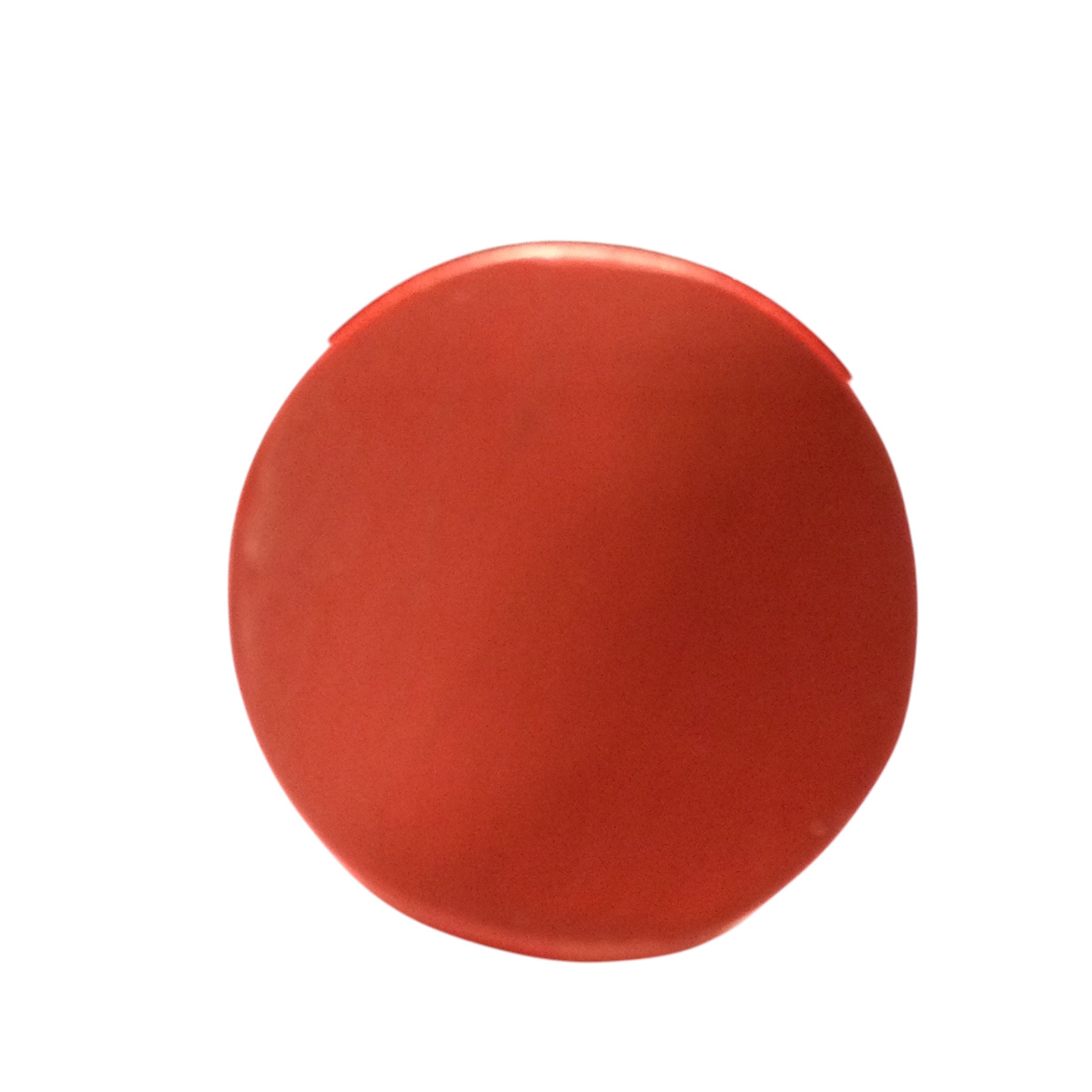 Scimmia di lacca rossa - immagine 12