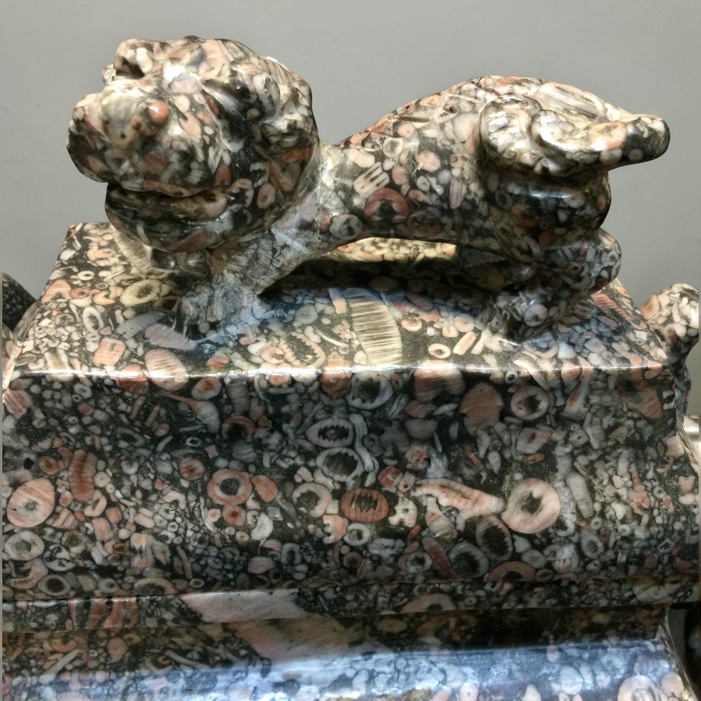 Fangding Leopardite - immagine 10