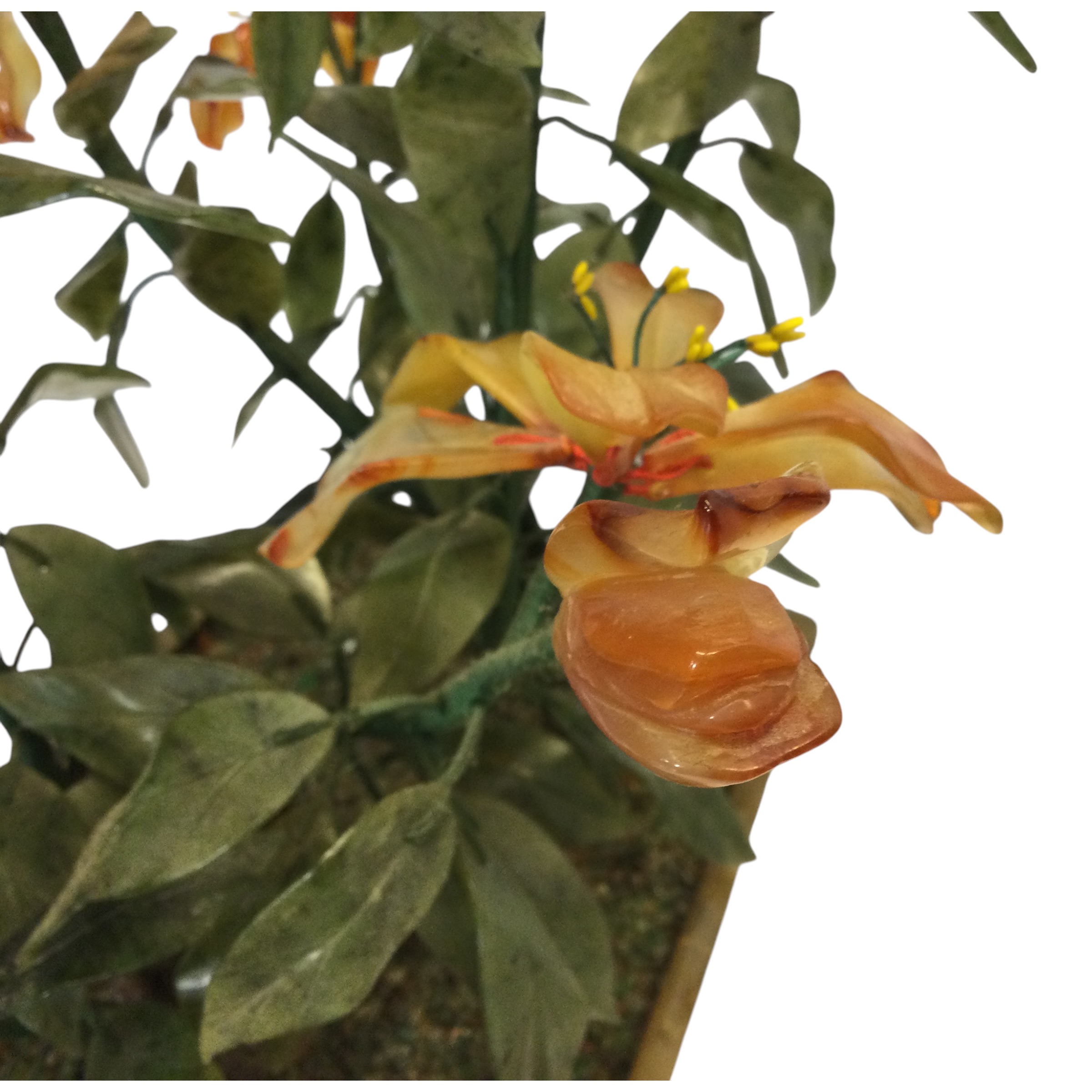 Pianta corniola e cloisonné - immagine 11