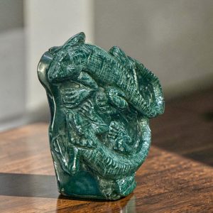 Iguane malachite